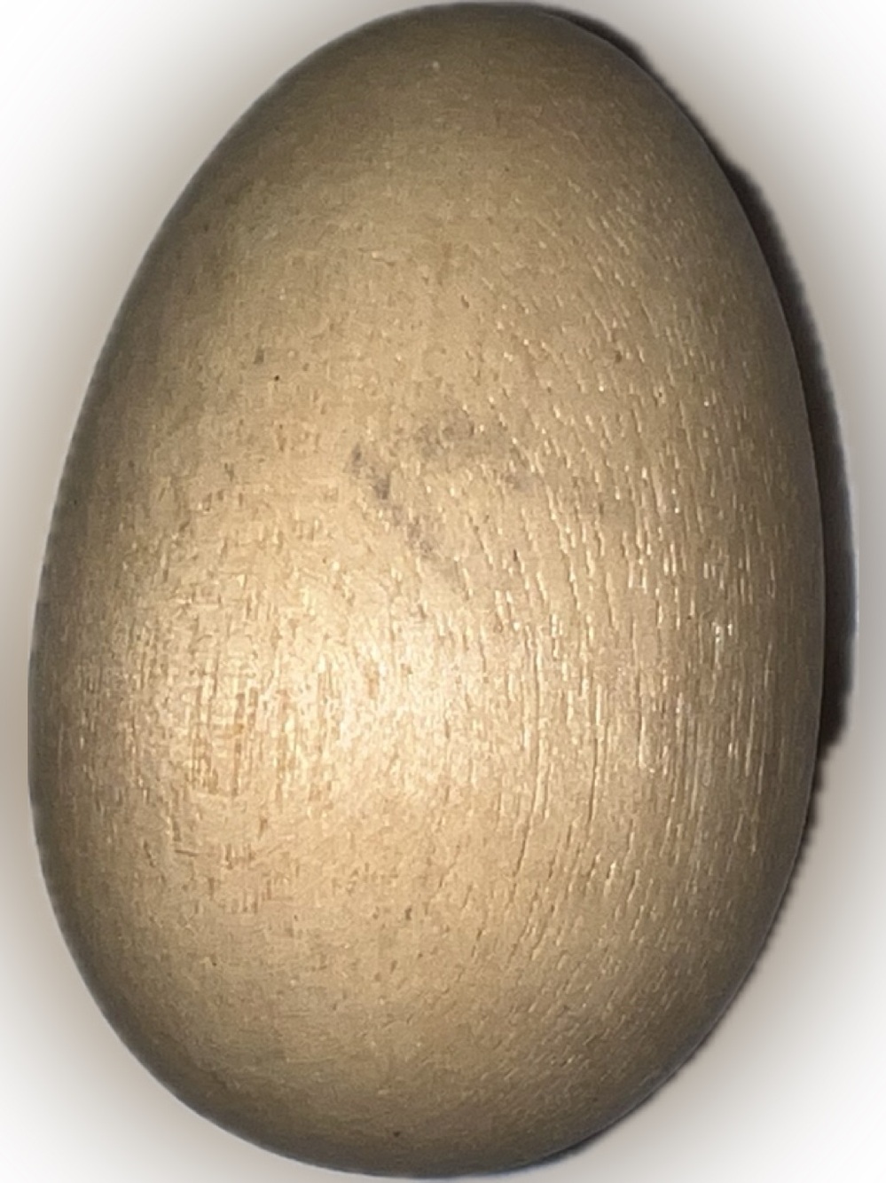 🍄 Vintage New Decorative Natural Wooden Egg Accent Accent Decor Art